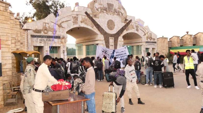 ethioall | Harar: Ethiopia's Timeless City Full of Color, Culture, and History